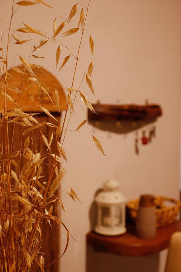 Casa Rustica Em - Karmea Hébergement de vacances Alte